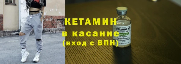 крисы Баксан