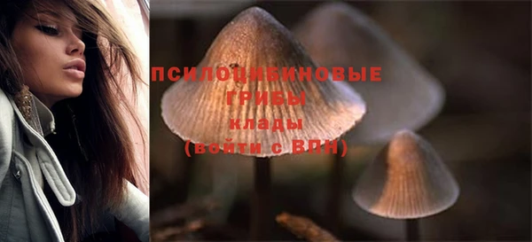 крисы Баксан