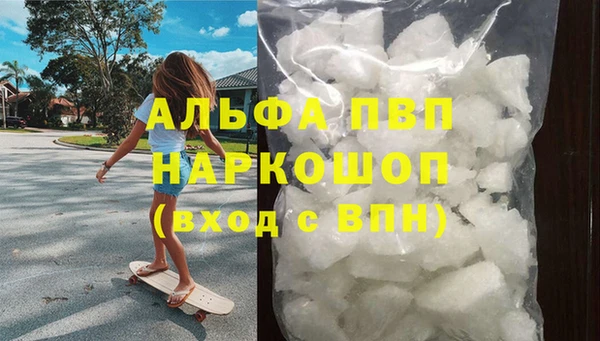 крисы Баксан