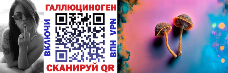 Купить где Гвардейск Псилоцибиновые грибы Psilocybine cubensis